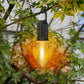 ✨Limited Time Offer ✨Outdoor Camping Hanging Type-C Charging Retro Bulb Light