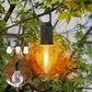 ✨Limited Time Offer ✨Outdoor Camping Hanging Type-C Charging Retro Bulb Light