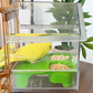 🦜Pull-Out External Parrot Feeder🏠