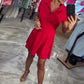 Women's Chic Casual Lapel Collar A-line Dress