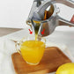🍊Stainless Steel Juicer