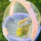 🦜Travel cage for small birds🏠