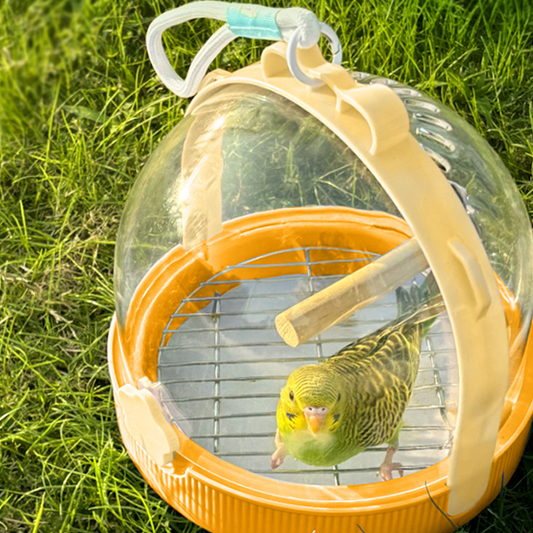 🦜Travel cage for small birds🏠