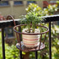 🌼Hot Sale - Hanging flower stand (✨Buy more and save more, free shipping for 5PCS✨)
