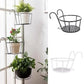 🌼Hot Sale - Hanging flower stand (✨Buy more and save more, free shipping for 5PCS✨)