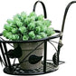 🌼Hot Sale - Hanging flower stand (✨Buy more and save more, free shipping for 5PCS✨)