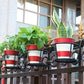🌼Hot Sale - Hanging flower stand (✨Buy more and save more, free shipping for 5PCS✨)